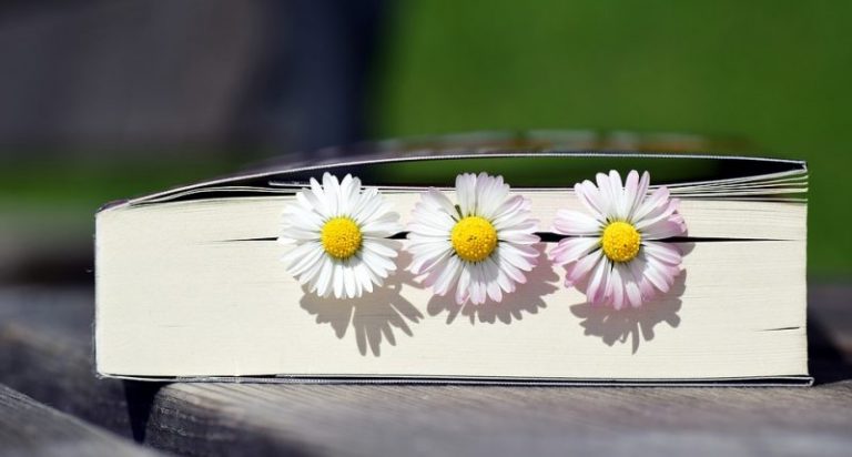 cara membuat buku besar